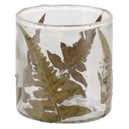 Fern Glass