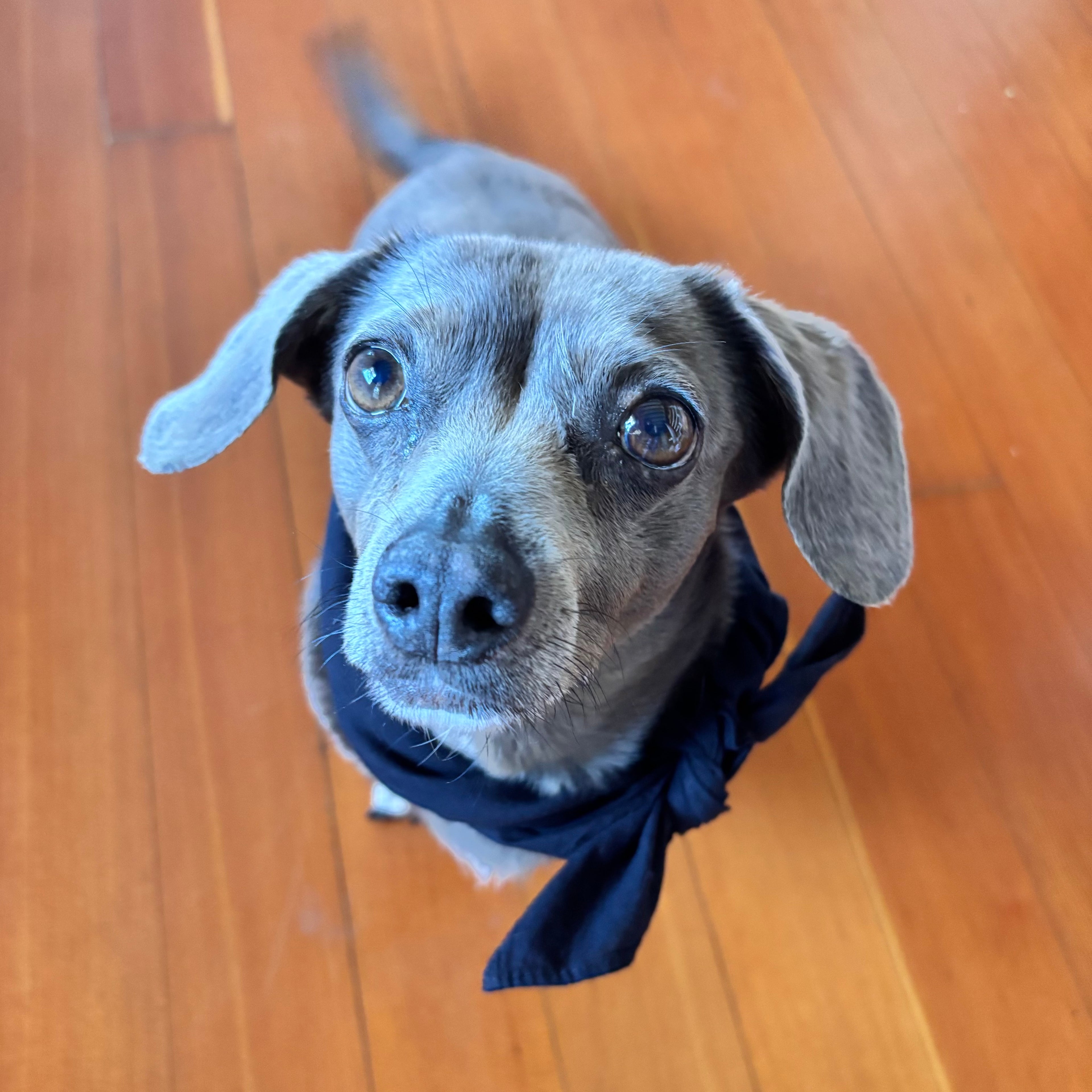 Hand-Dyed Bandanas