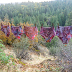 Everyday Panty || Ice Dye || Ocean Jasper