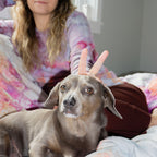 Sierra Thermal || Ice Dye || Ocean Jasper