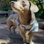 Hand-Dyed Bandanas