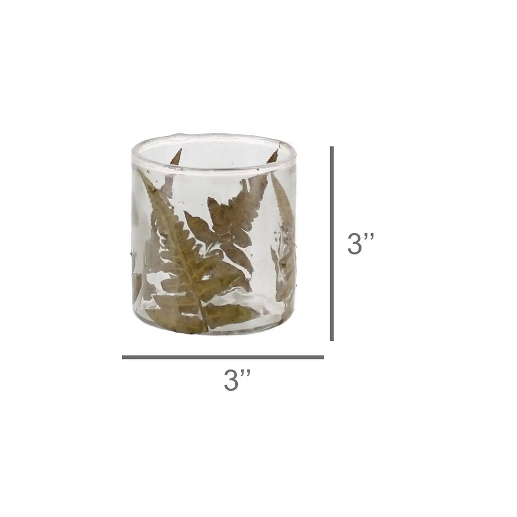 Fern Glass