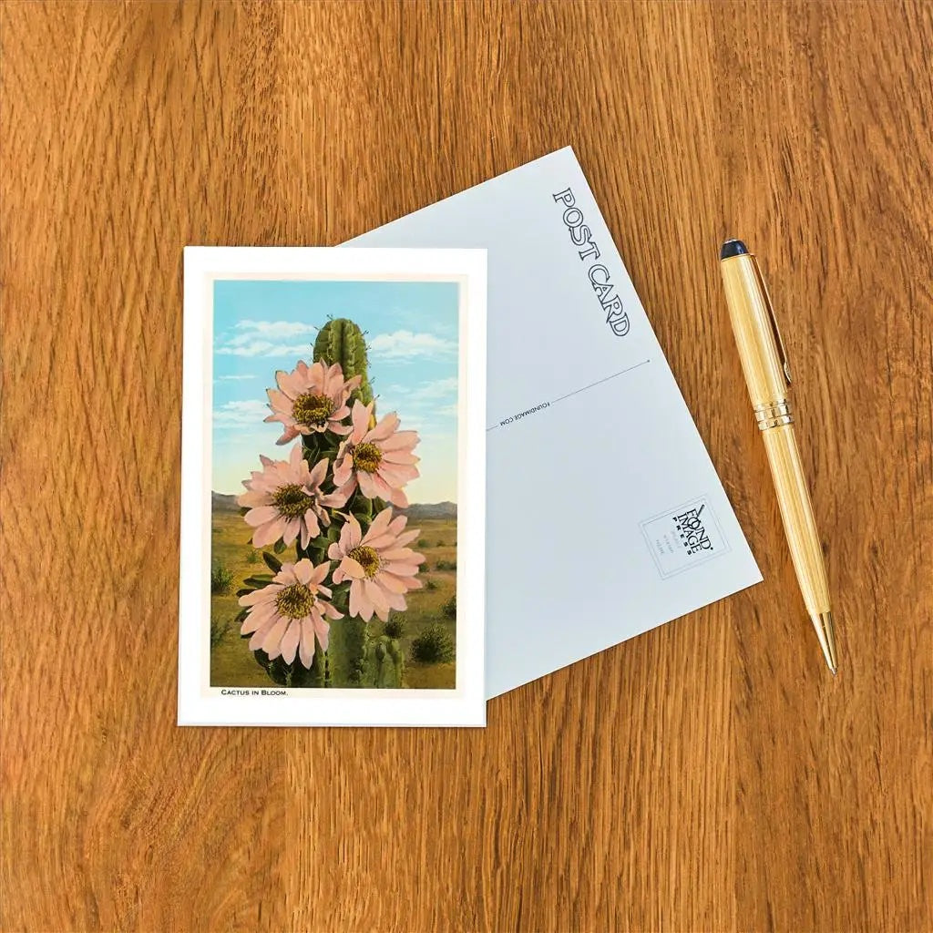 Postcards || Art & Vintage Photos