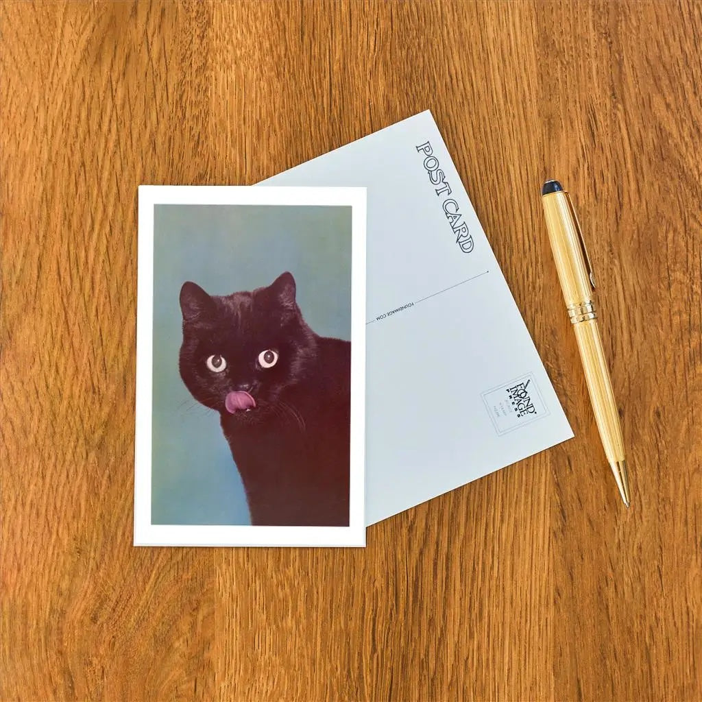 Postcards || Art & Vintage Photos
