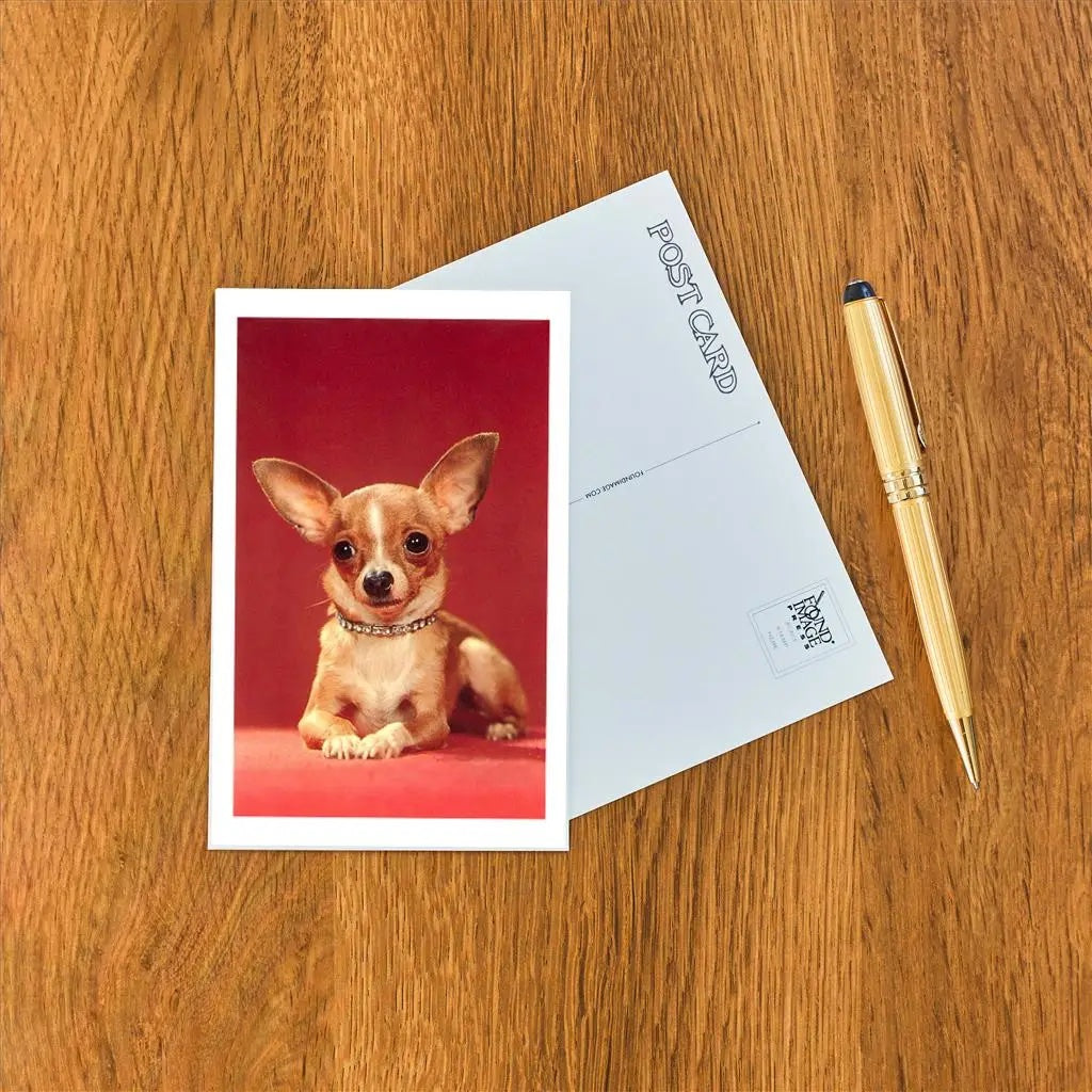 Postcards || Art & Vintage Photos