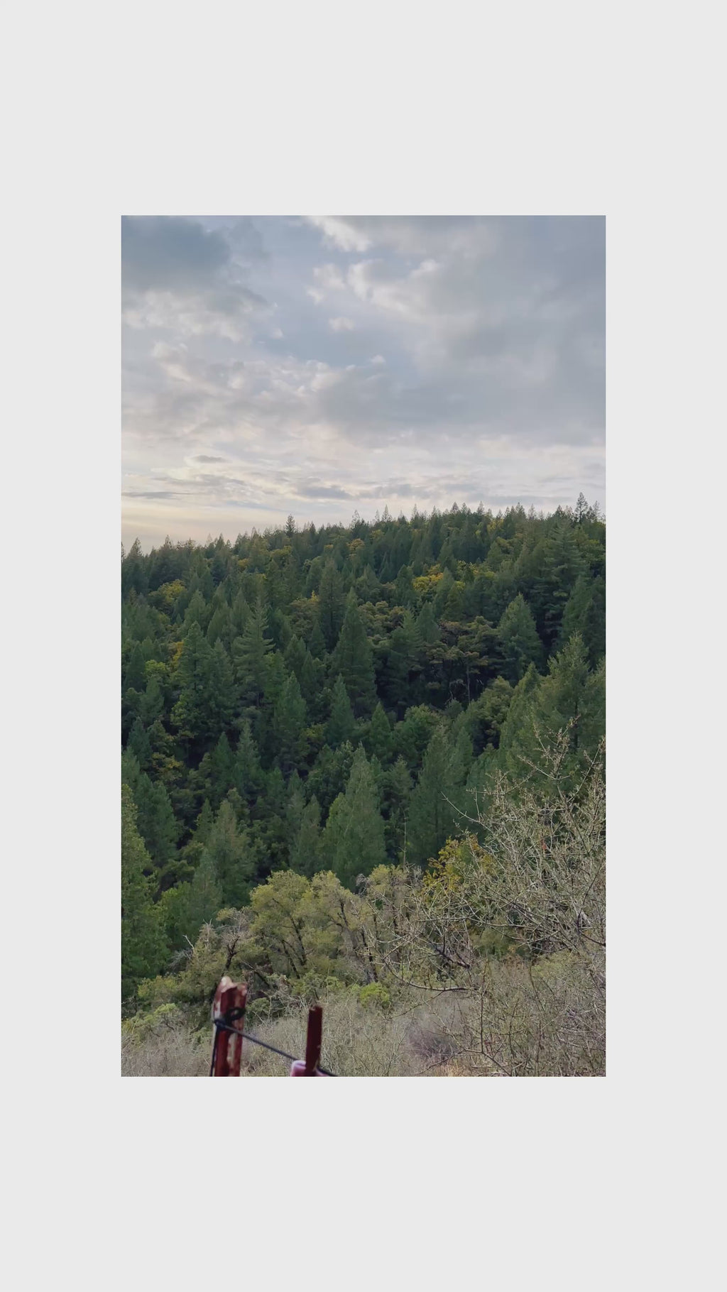 Everyday Panty || Ice Dye || Ocean Jasper