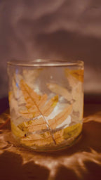 Fern Glass