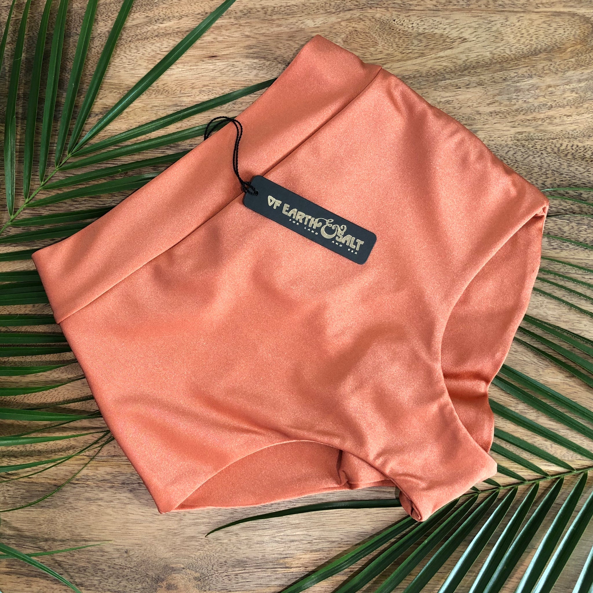 Favorite High Waisted Swim Bottoms || COPPER